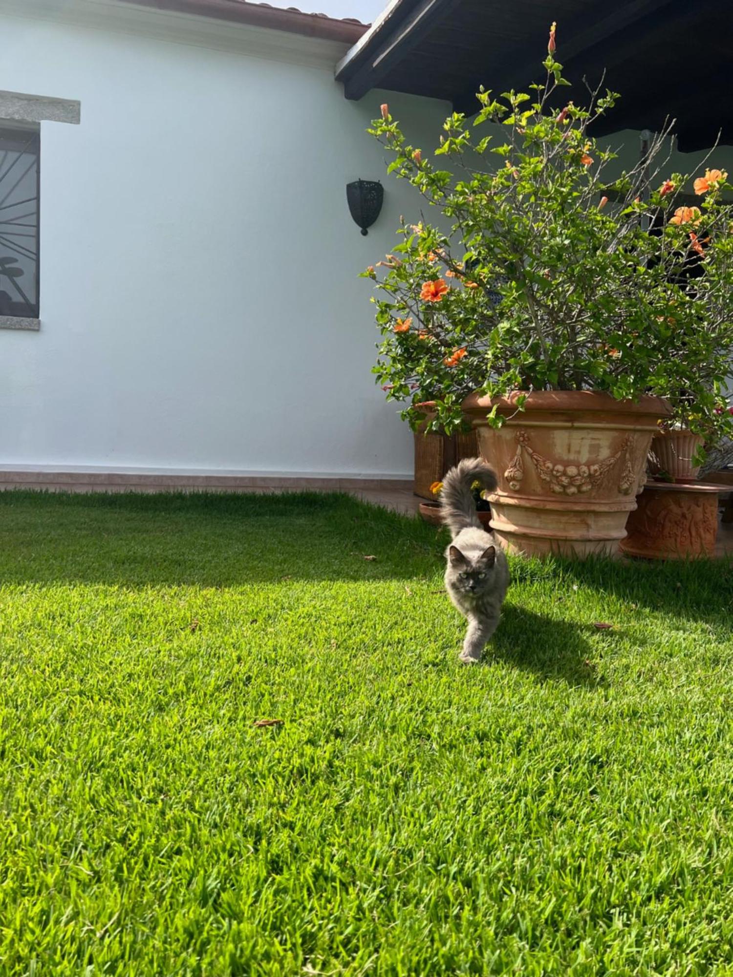 Villa Peditoltu Όλμπια Εξωτερικό φωτογραφία